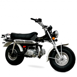 T-REX 125cc Moto Homologable